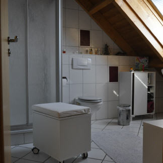 Ein seperates modernes Badzimmer mit Dusche
